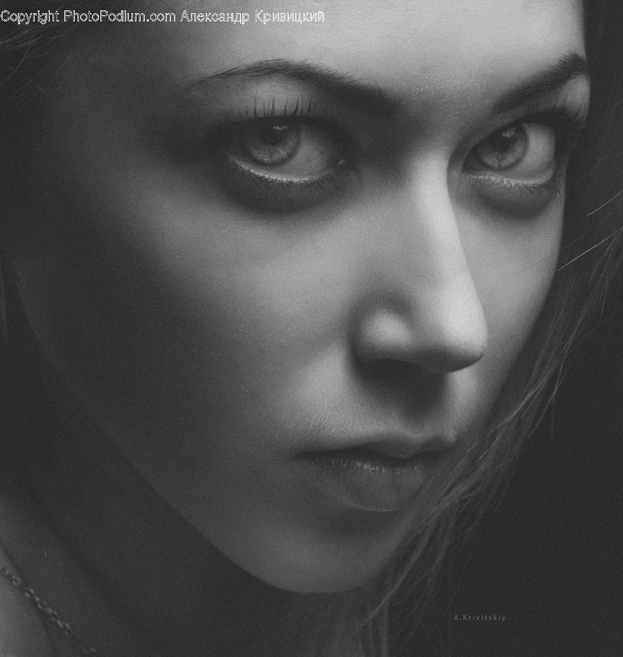 Human, Person, Face, Head, Portrait