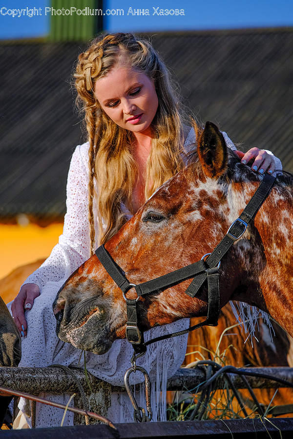 Apparel, Clothing, Mammal, Horse, Animal