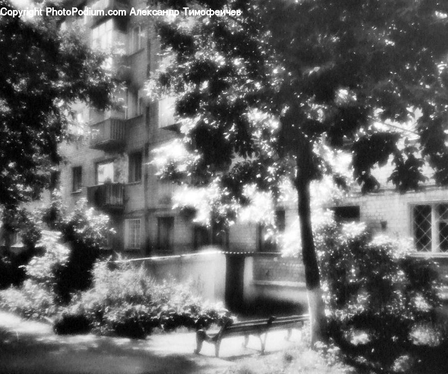 Bench, Plant, Potted Plant, Tree, Building, Housing, Villa