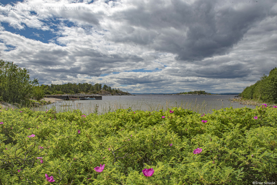 Nature, Outdoors, Land, Weather, Grassland