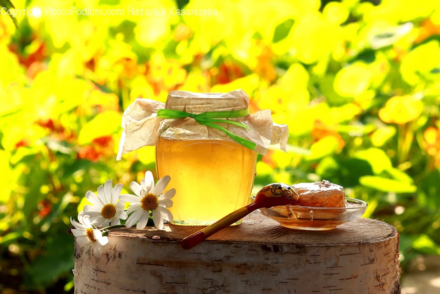 Plant, Honey, Food, Jar, Leaf