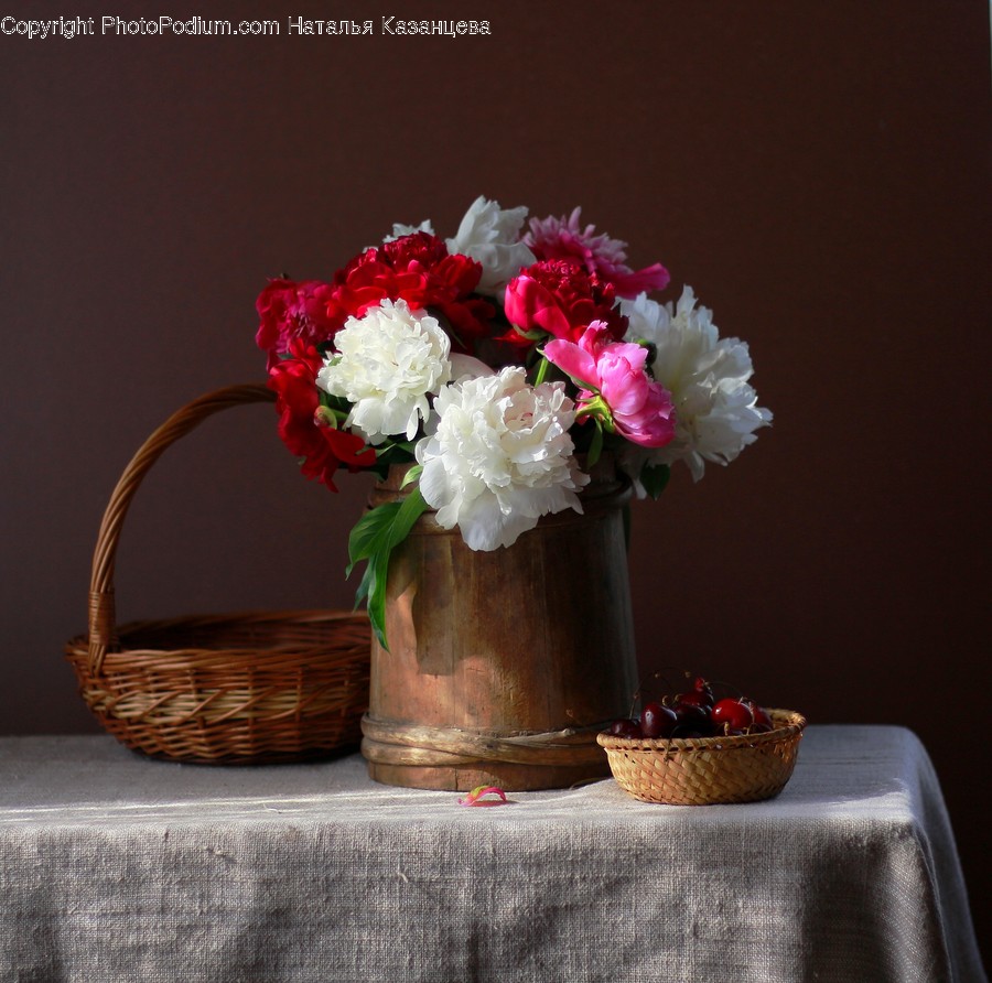 Plant, Blossom, Flower, Flower Bouquet, Flower Arrangement