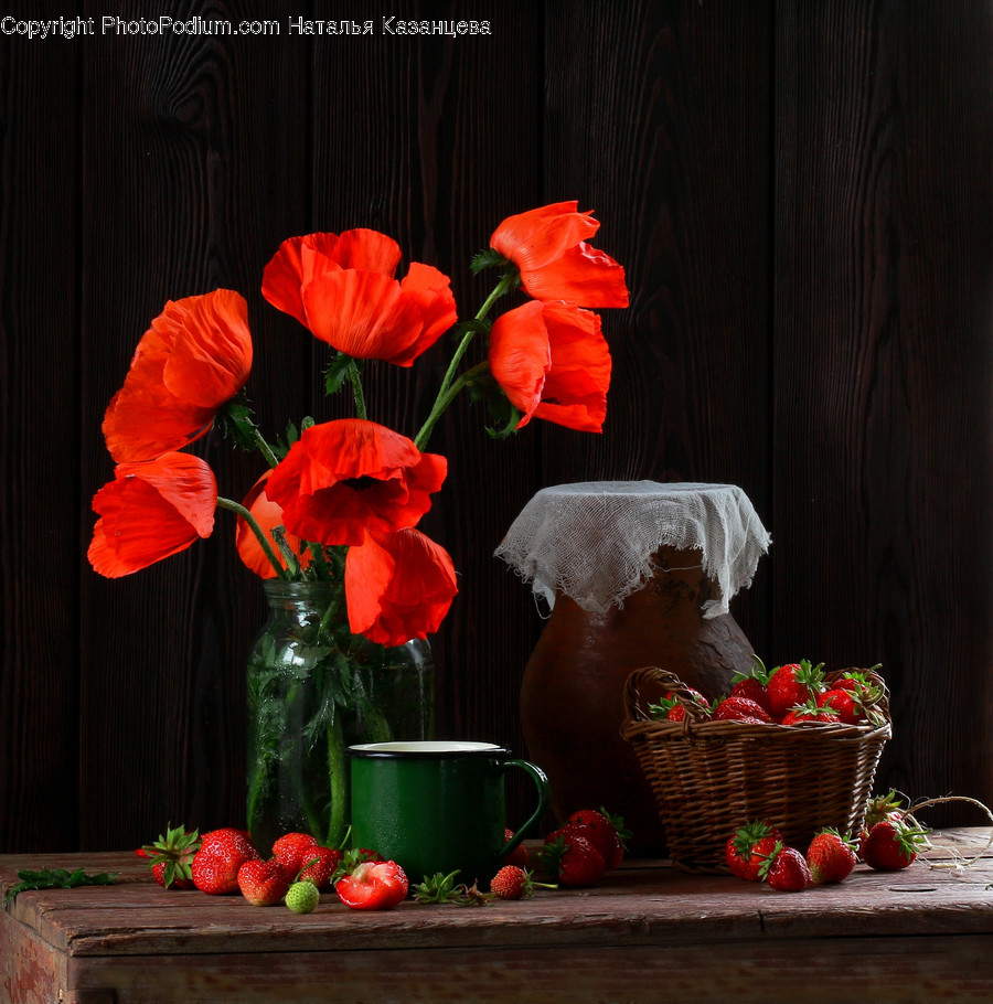 Plant, Blossom, Flower, Flower Arrangement, Flower Bouquet