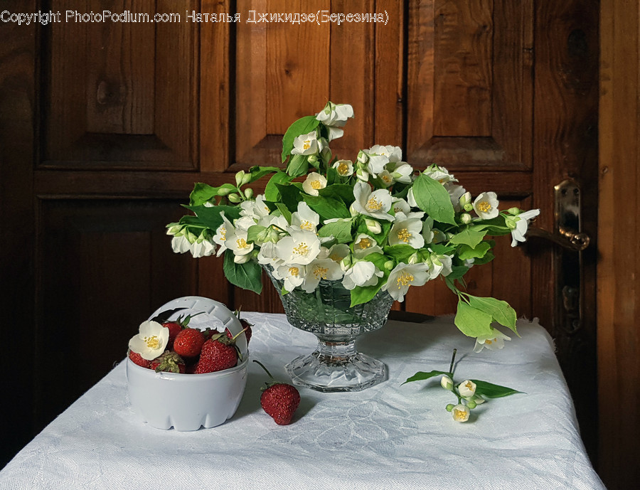 Plant, Flower Arrangement, Flower Bouquet, Blossom, Flower
