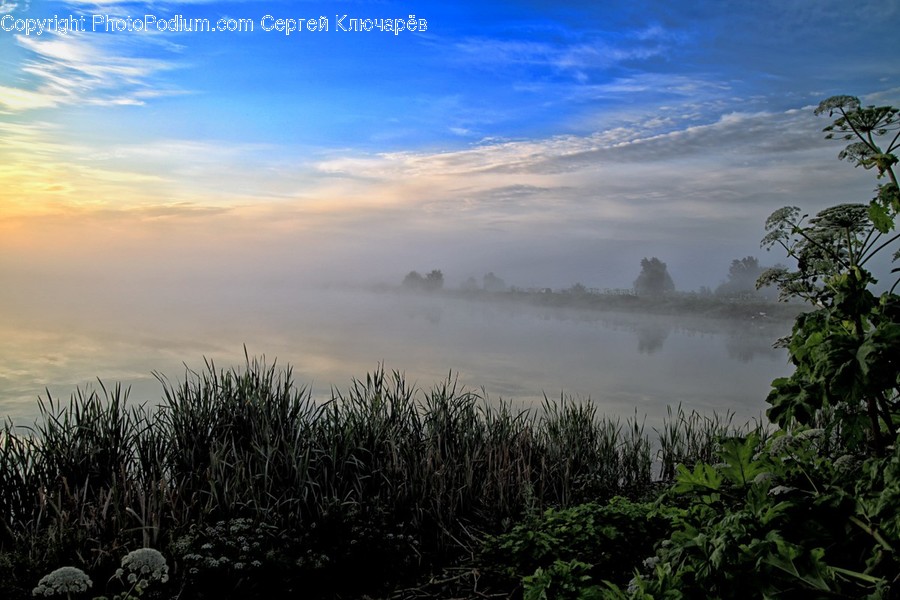 Nature, Weather, Outdoors, Fog, Mist