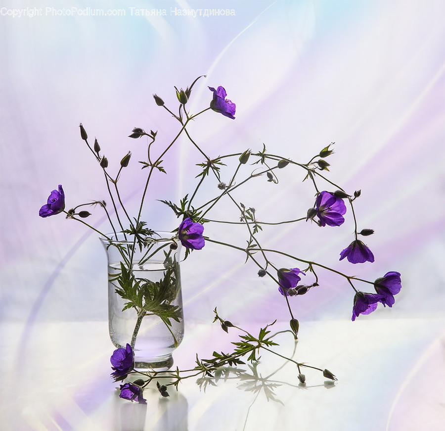 Pottery, Vase, Jar, Flower, Ikebana