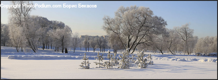 Landscape, Nature, Scenery
