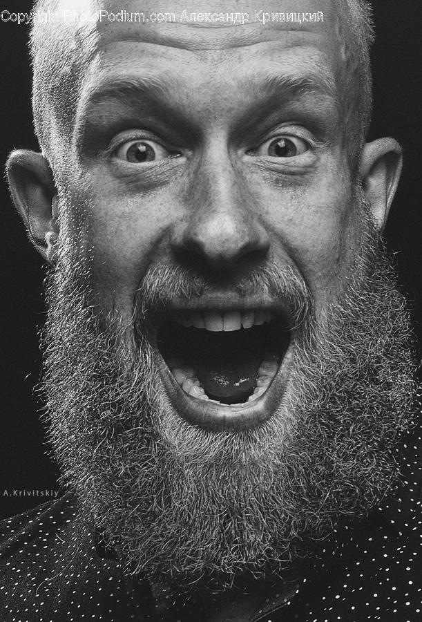 Person, Human, Face, Beard