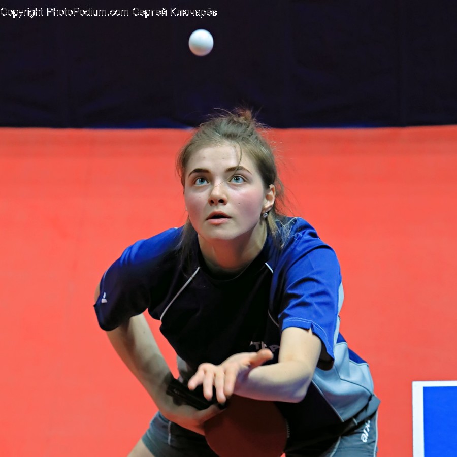 Human, Person, Sport, Sports, Ping Pong