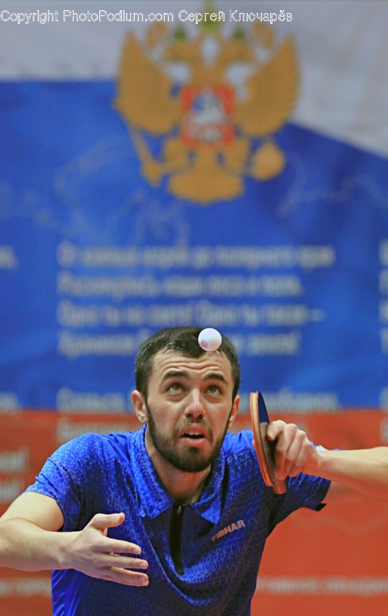 Human, Person, Sports, Sport, Ping Pong