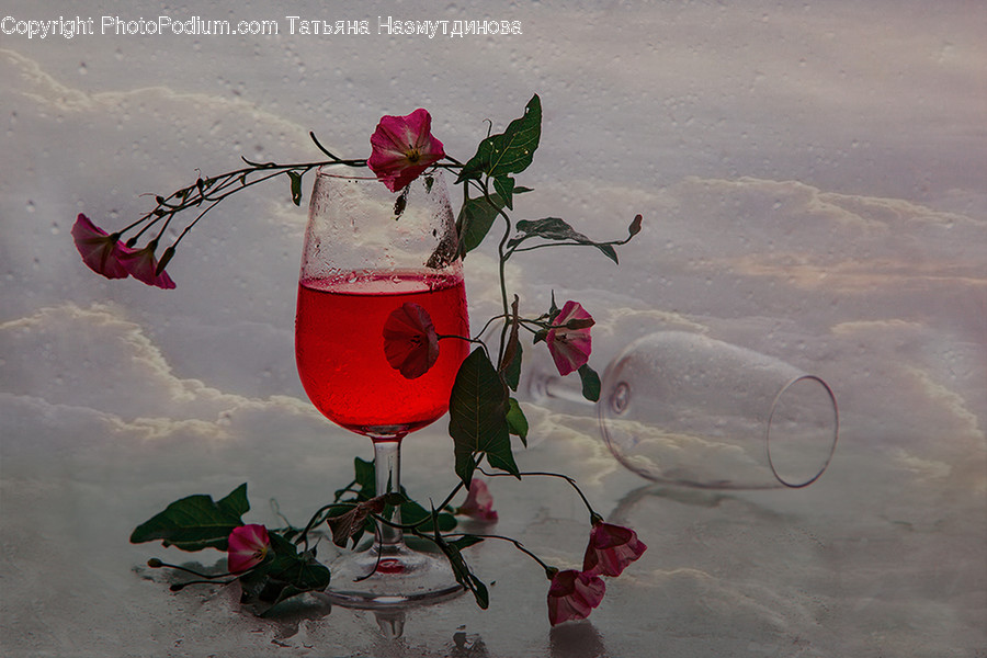 Goblet, Glass, Blossom, Flower, Plant