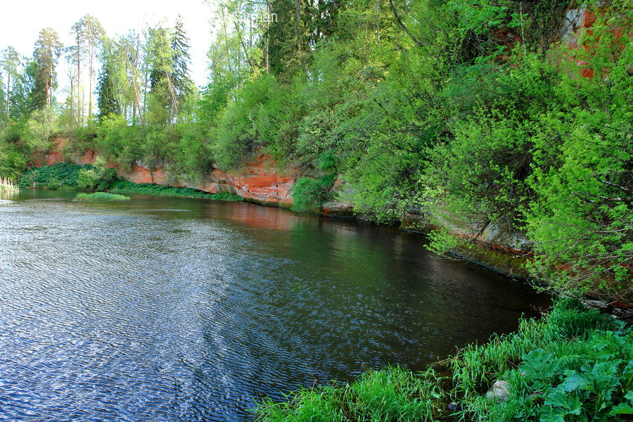 Water, Nature, Outdoors, Plant, Tree