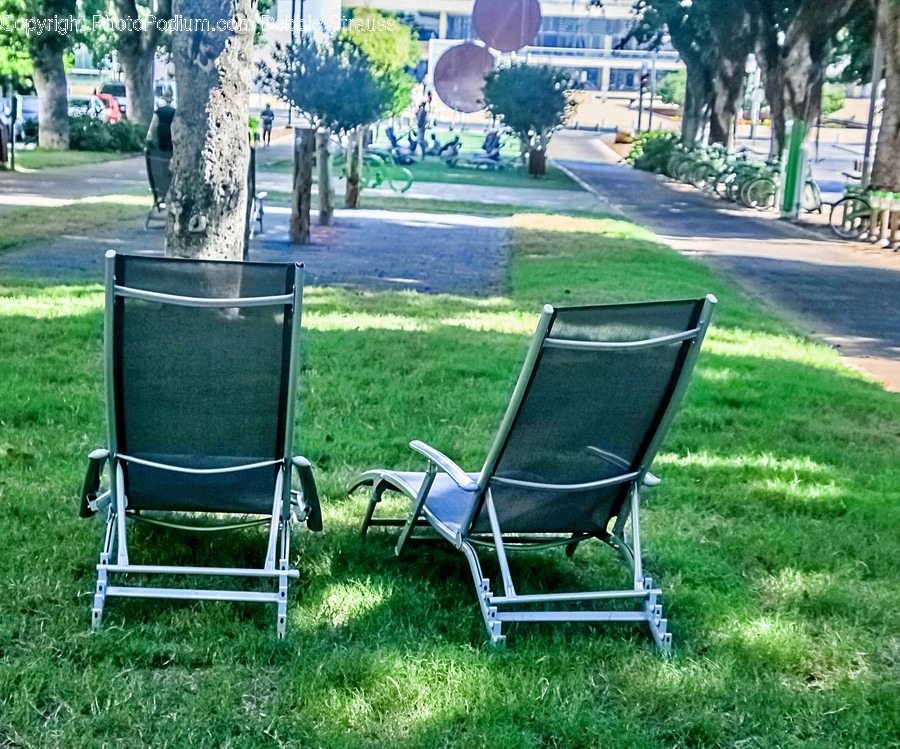Plant, Grass, Furniture, Chair, Lawn