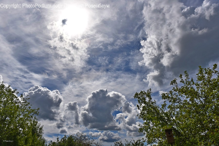 Nature, Weather, Cumulus, Outdoors, Sky
