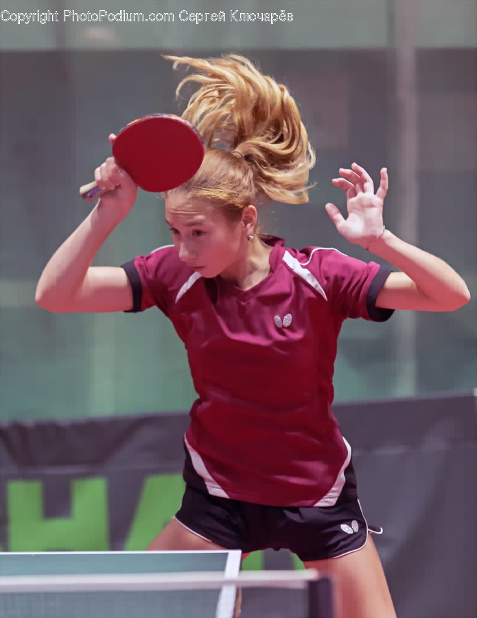 Human, Person, Sports, Sport, Ping Pong