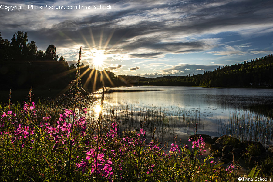 Flare, Light, Outdoors, Water, Nature