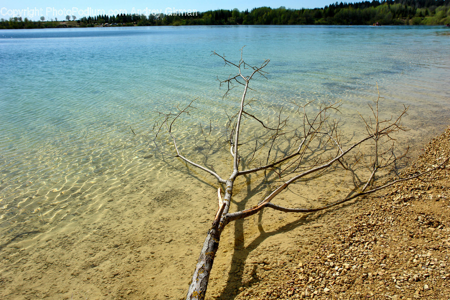 Wood, Nature, Outdoors, Water, Ground