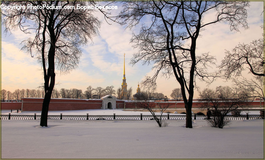 Ice, Outdoors, Snow, Park, Plant, Tree, Bridge