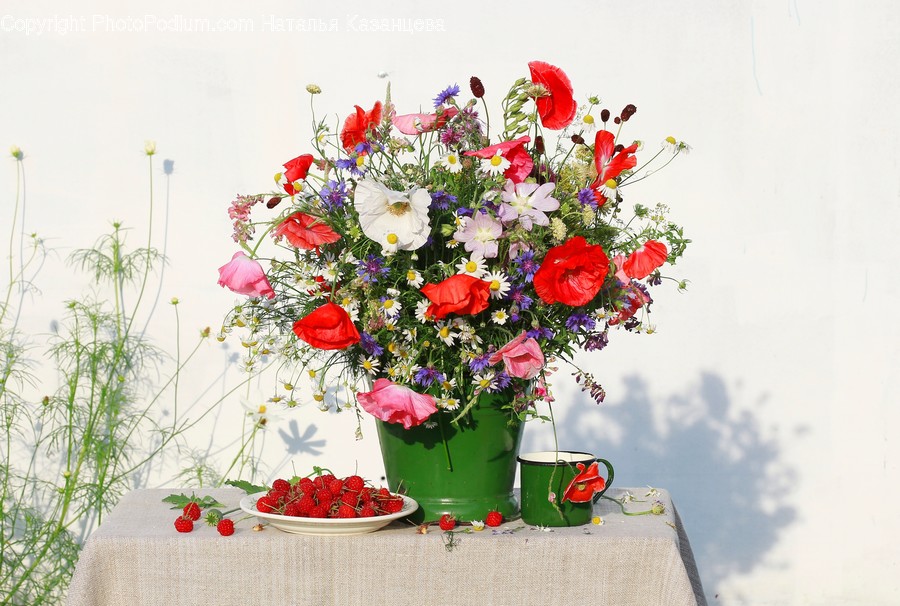 Plant, Blossom, Flower, Floral Design, Pattern