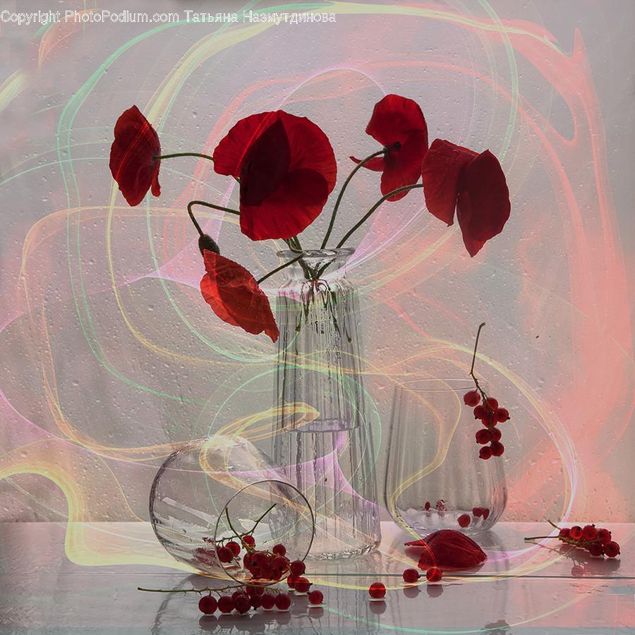 Plant, Pottery, Jar, Vase, Blossom