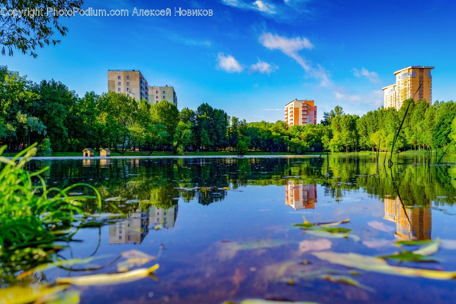 Nature, Water, Outdoors, Pond, Scenery