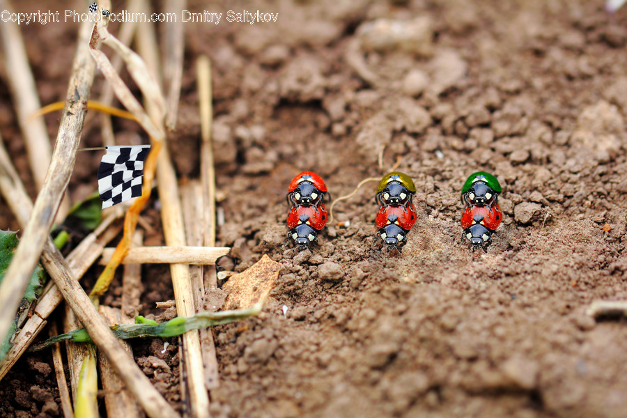 Ground, Soil, Apparel, Clothing, Helmet