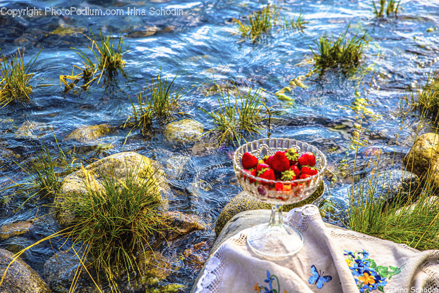 Plant, Water, Fruit, Food, Outdoors
