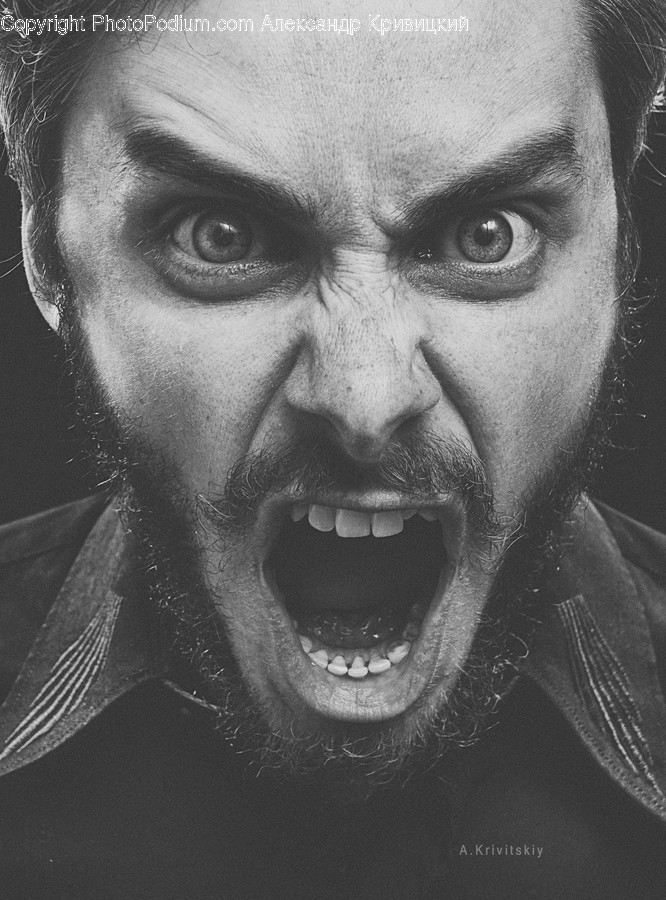 Human, Person, Face, Head, Beard
