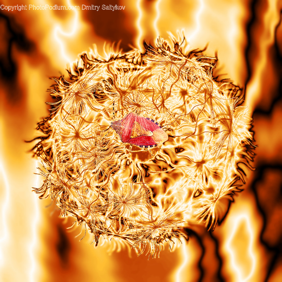 Plant, Bonfire, Flame, Fire, Flower