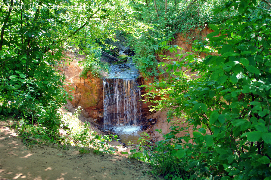 Water, Outdoors, Nature, River, Plant