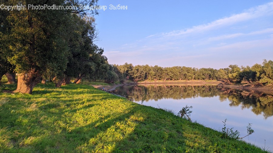 Nature, Water, Outdoors, Land, Field