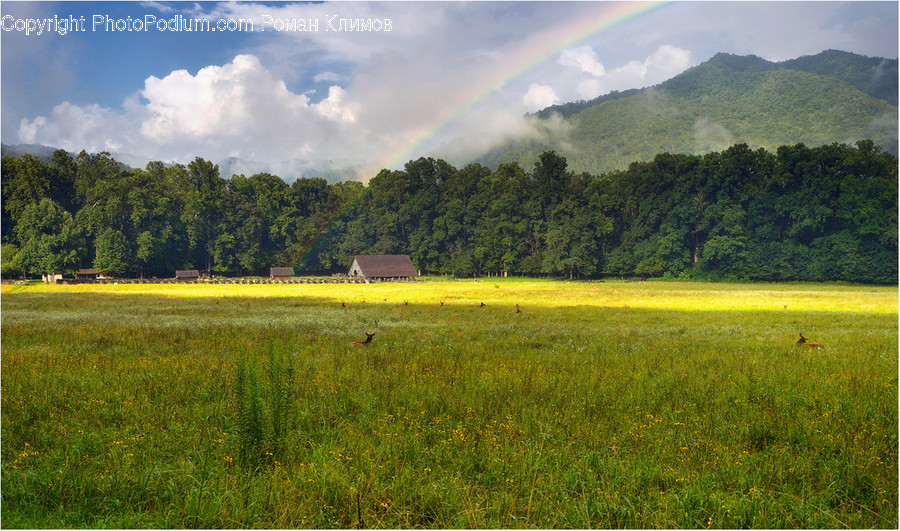 Nature, Grassland, Outdoors, Field, Countryside