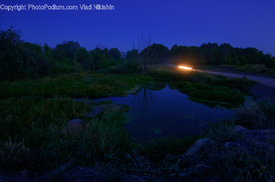 Nature, Land, Outdoors, Water, Bog