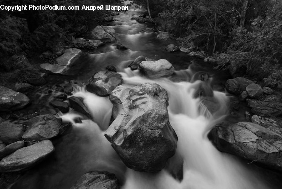 Creek, Outdoors, River, Water, Rock, Forest, Jungle