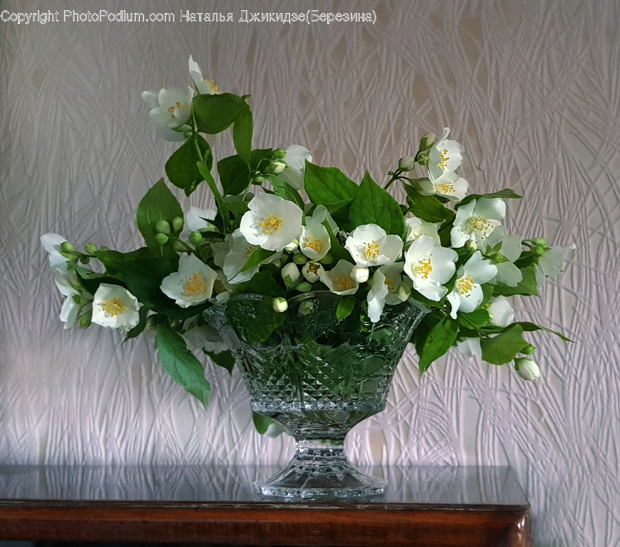 Plant, Flower, Blossom, Flower Arrangement, Flower Bouquet