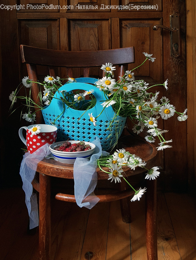 Plant, Blossom, Flower, Flower Arrangement, Wood