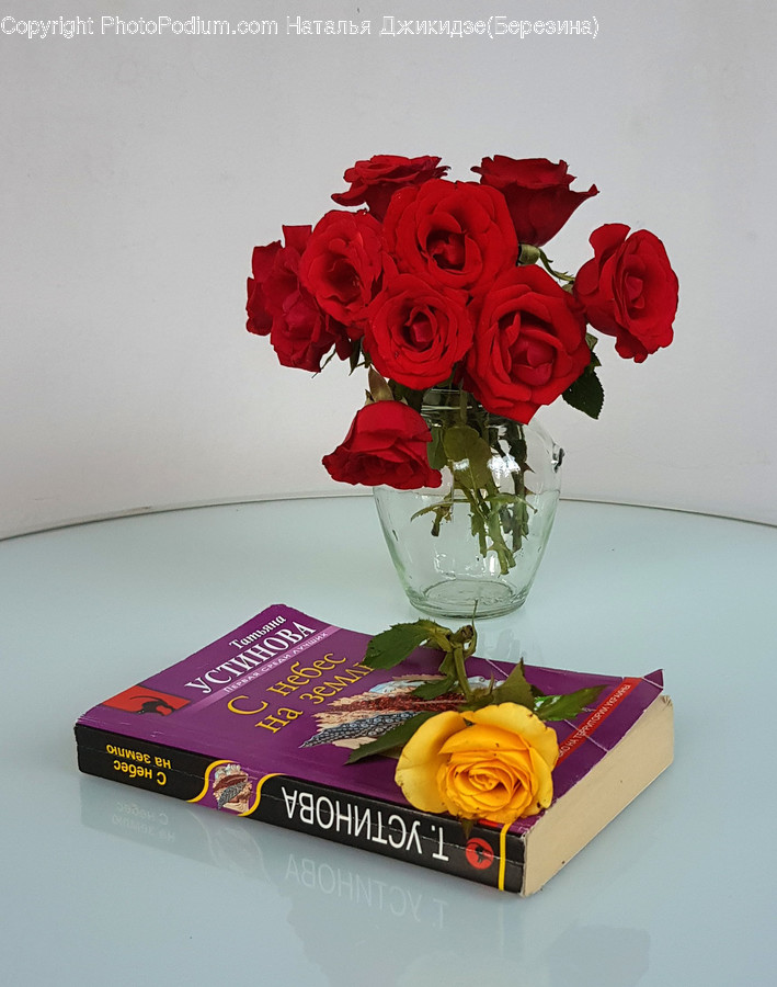 Plant, Blossom, Flower, Flower Arrangement, Flower Bouquet