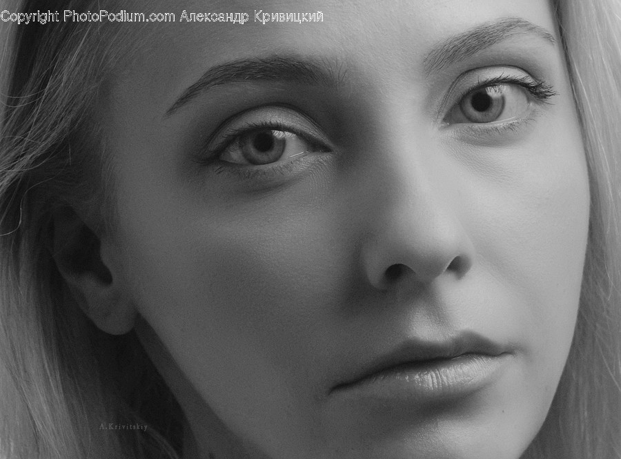 Person, Human, Face, Head, Portrait