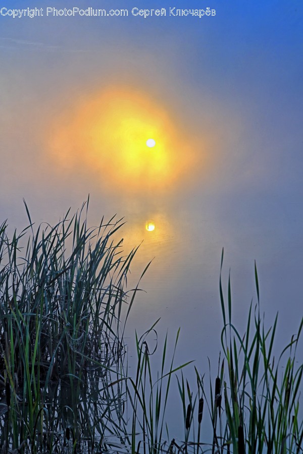 Nature, Light, Flare, Outdoors, Weather