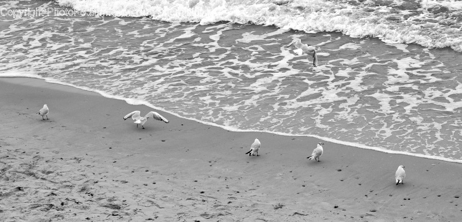 Ocean, Water, Sea, Nature, Outdoors