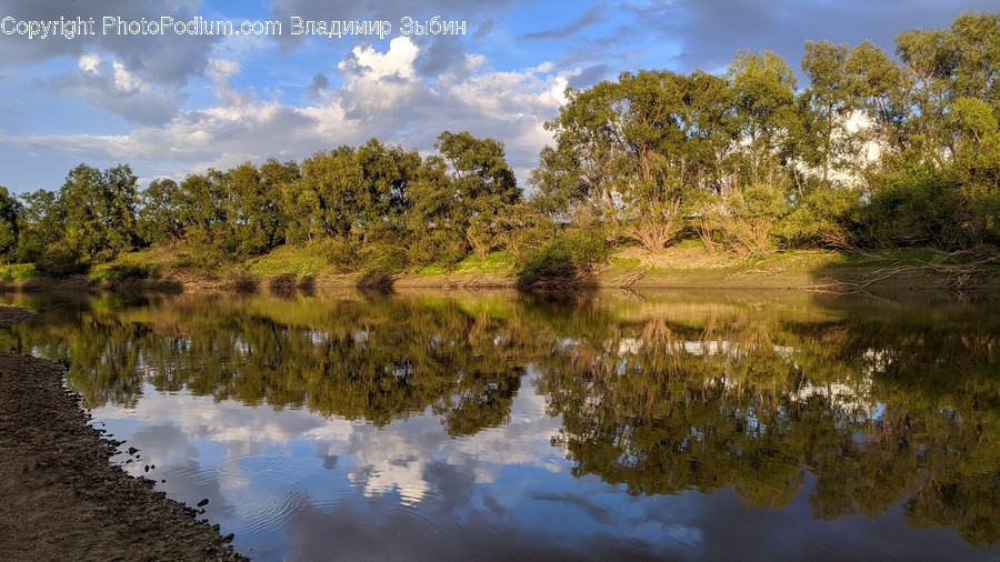 Water, Nature, Outdoors, Land, Pond