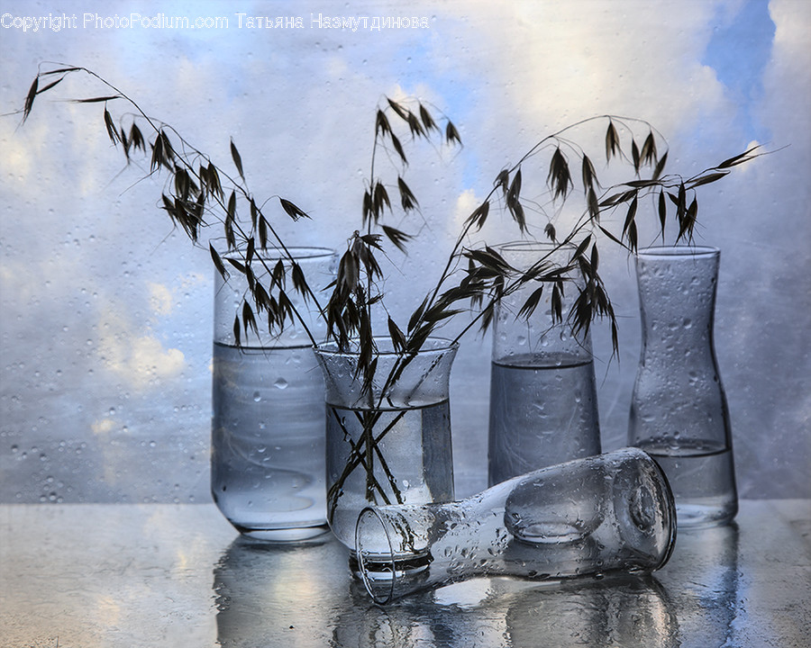 Bird, Animal, Jug, Ice, Outdoors