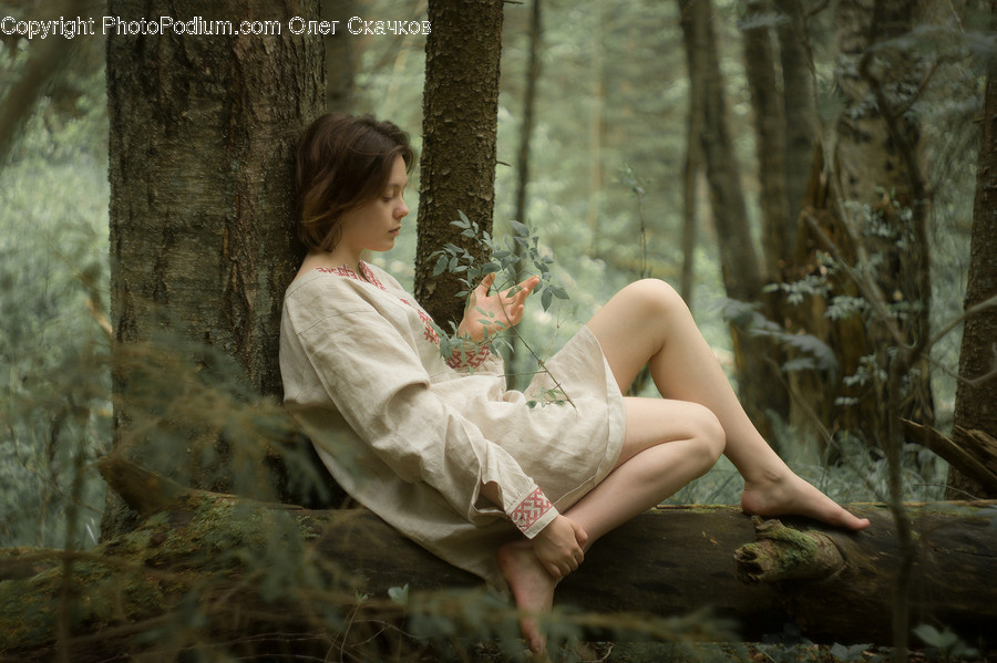 Apparel, Clothing, Fashion, Robe, Gown