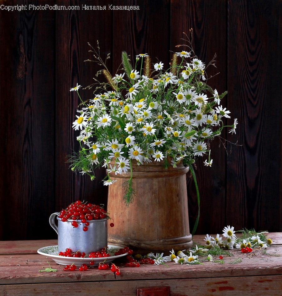 Plant, Blossom, Flower, Flower Arrangement, Flower Bouquet