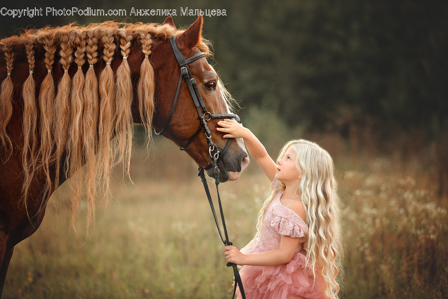 Human, Person, Mammal, Horse, Animal