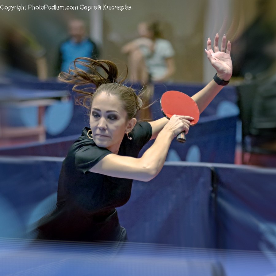 Human, Person, Sport, Sports, Ping Pong