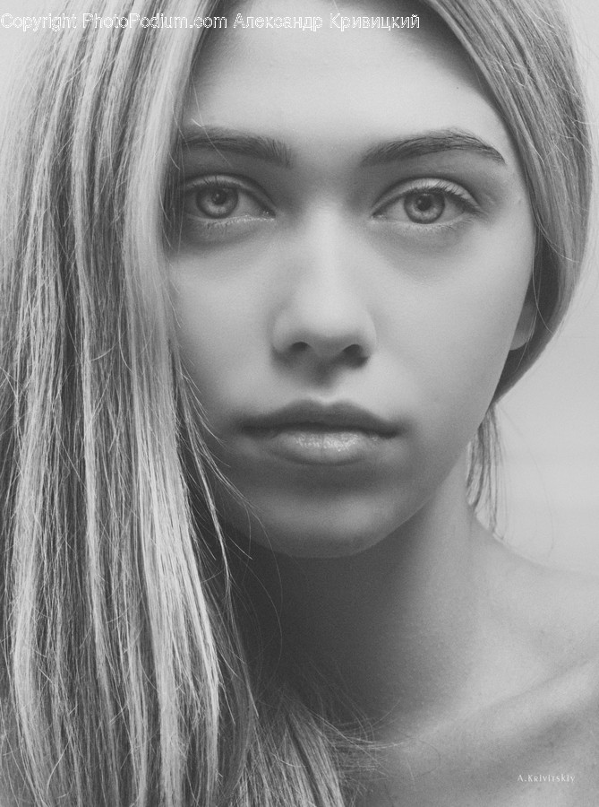 Face, Person, Human, Head, Portrait