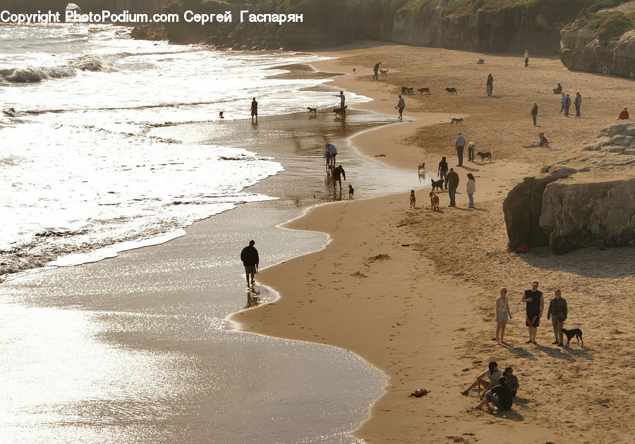Beach, Coast, Outdoors, Sea, Water, Sand, Soil