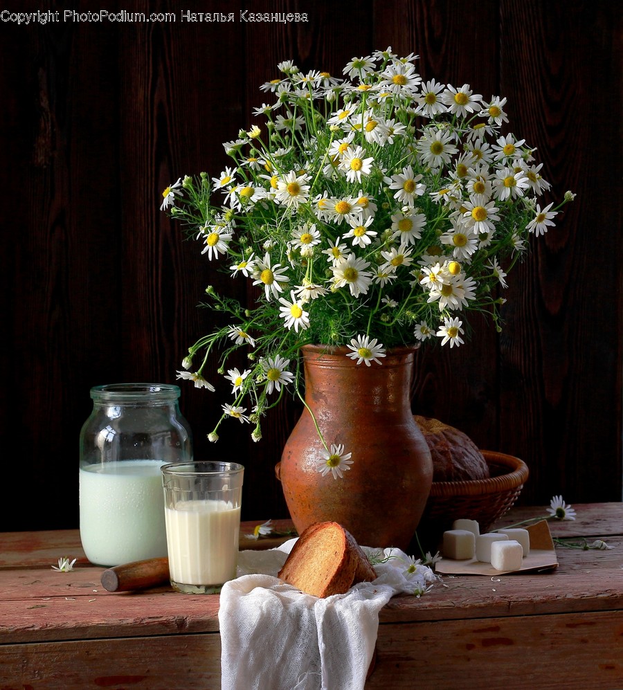 Plant, Blossom, Flower, Flower Arrangement, Flower Bouquet