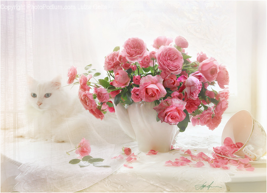 Plant, Pattern, Graphics, Floral Design, Art